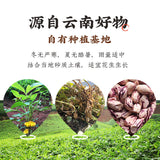 Year-End Nut Gift Box – Mixed Nuts & Dried Fruits for Group Buy & Sharing