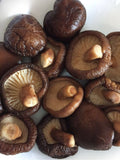 1.1 LB (17.6 oz) 100% NATURAL PREMIUM DRIED SHIITAKE CHINESE MUSHROOM