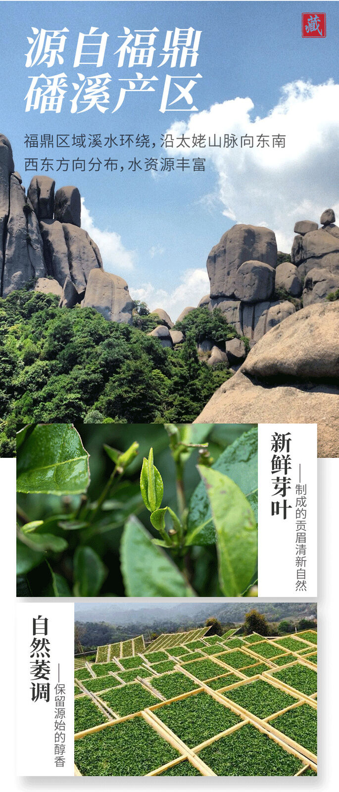 Fuding white tea cake fragrance gongmei shoumei Panxi old white tea cake