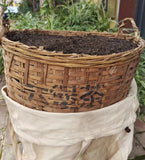 5 Years Old Post-Fermented Guangxi Special Grade Jinhua Liubao Tea Loose Tea