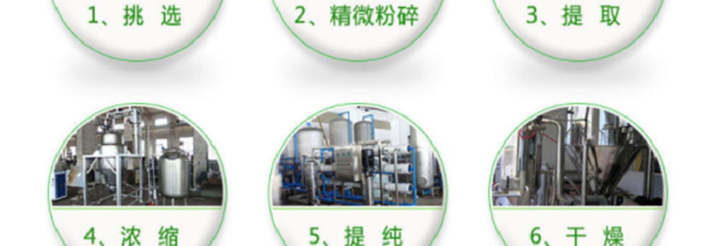 Ginkgo Biloba Extract Water Soluble Rich in Flavonoids Memory & Focus Support