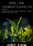 500g Yunnan Pu'er Tea Raw Tea Leaves Xigui Thin Slices Small Slices Square Tea