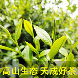 Premium Yunnan Biluochun Top Grade Spring Tea Rich Aroma Loose Leaf