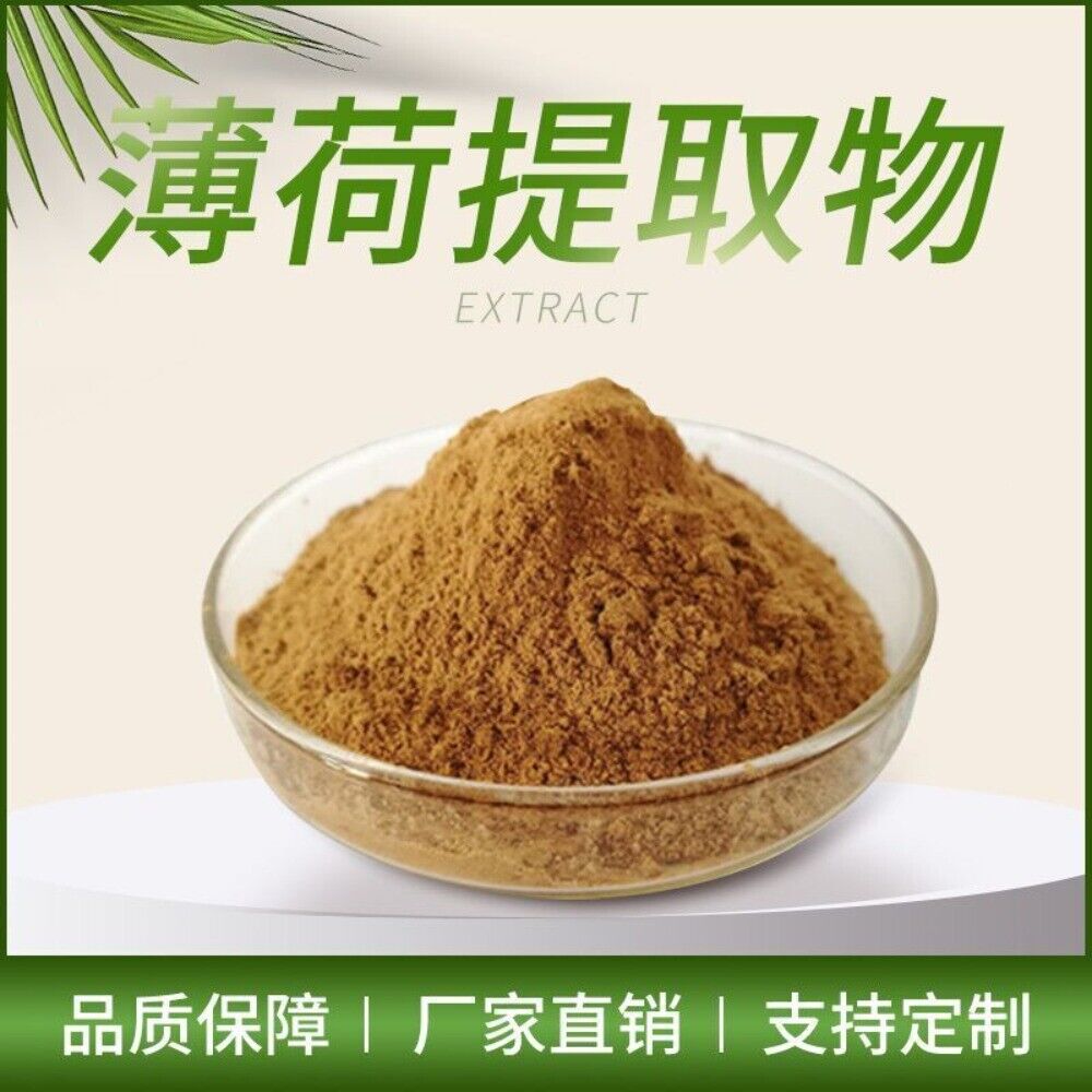 Wild Mint Powder Pure High Menthol Herbal Supplement Lab Tested Premium Natural Main image