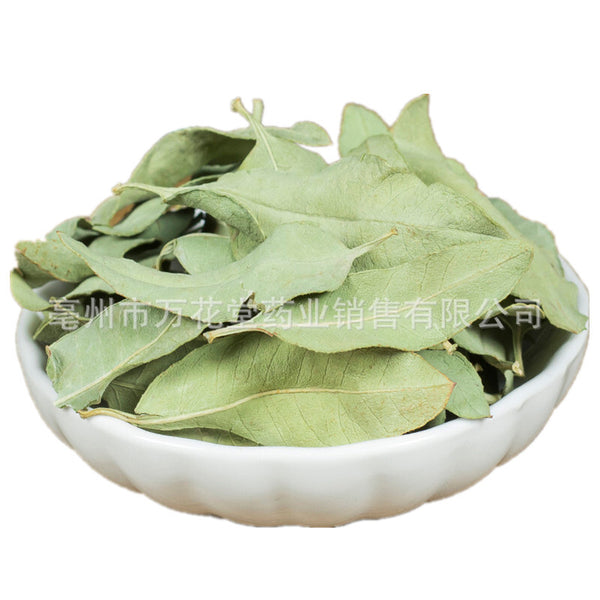 Apocynum Venetum Leaf Chinese Herbal Tea Health Tea