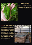 Pu'er Tea Cake Yunnan Qizi Cake Tea Aged Pu'er Banzhang Ancient Tree Ripe Tea