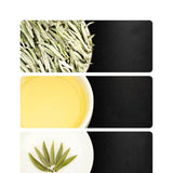 New Tea Authentic Alpine Bud Old White Tea Canned Premium White Tea 2024