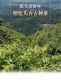 Yunnan Puerh Tea Raw Tea Iceland Dark Spice Ancient Tea Cake 357g