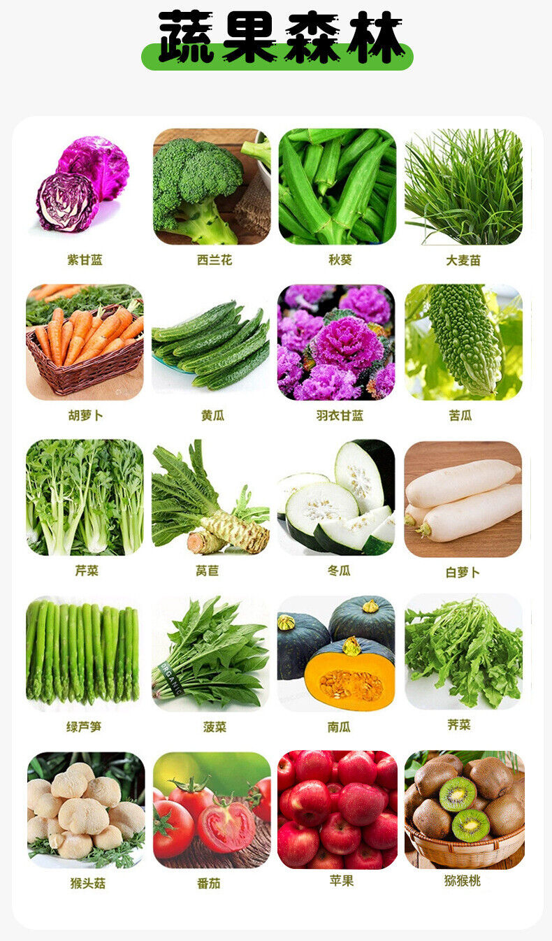 Probiotic Fruit & Vegetable Dietary Fibre Powder Green Juice Powder 5g*12bags