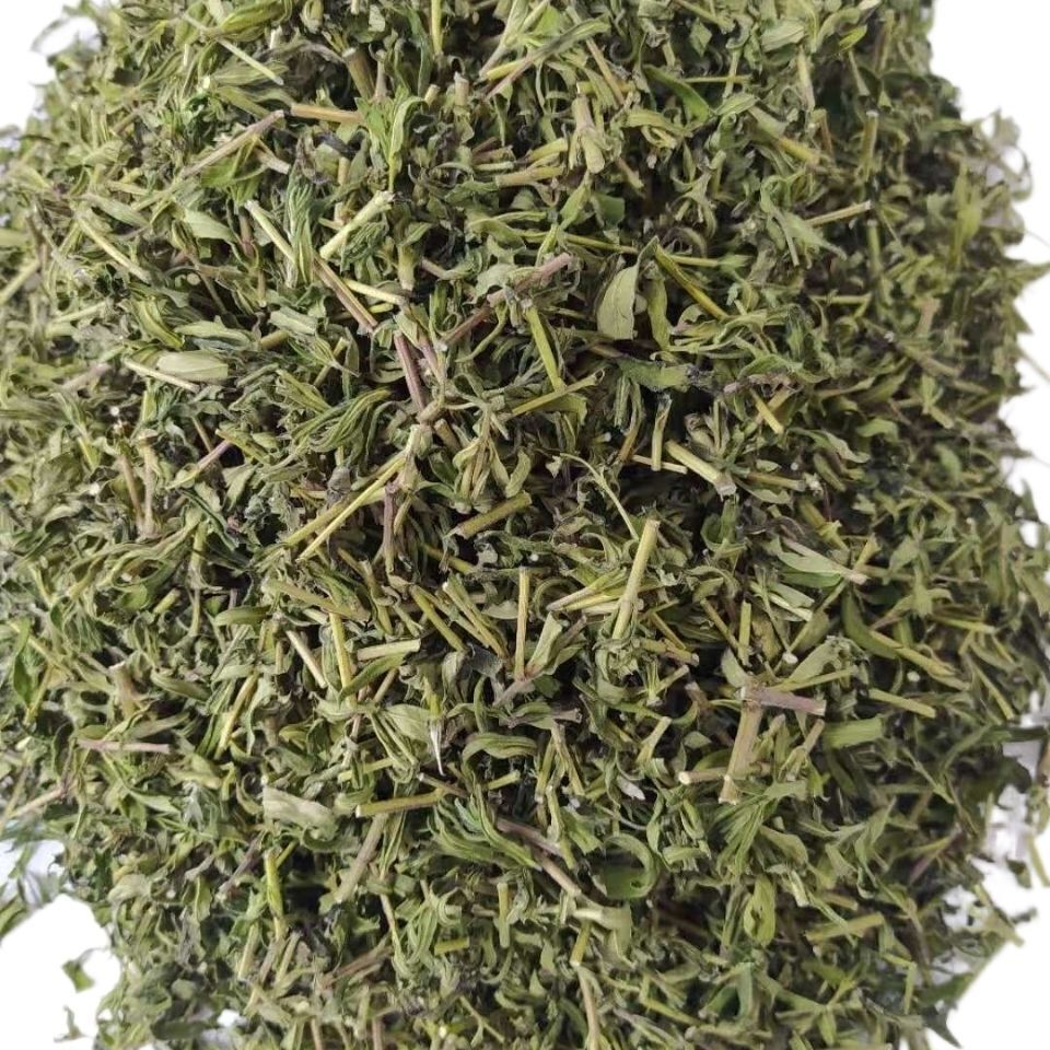 Skullcap Leaf Tea Herb Scutellaria baicalensis Prue