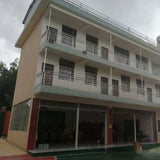 357g Top Laobanzhang Pu'er Ripe Tea Golden Bud Tribute Cake Premium Black Tea