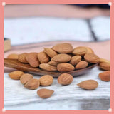 Premium Grade  Organic Apricot Kernels Raw