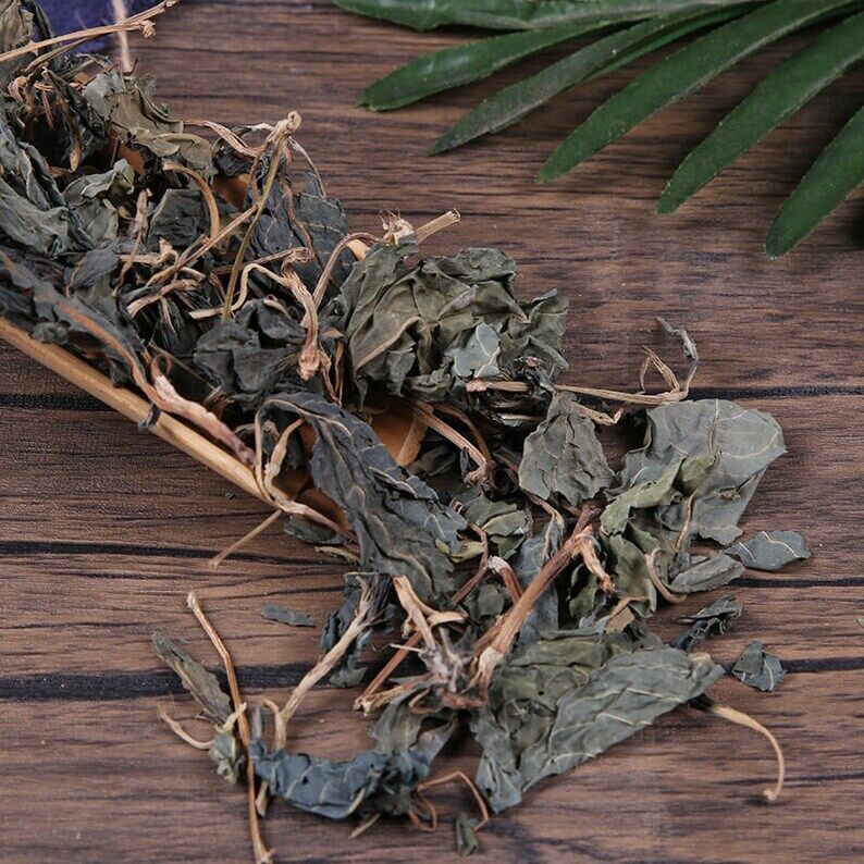 Folium Isatidis Da Qing Ye Feuille d'Indigowoad BIO Secondary image