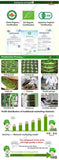 500g Schwarzer Tee Lose Yunnan Fengqing Dianhong Kochte Roten Biluo Bio Tee 滇红茶