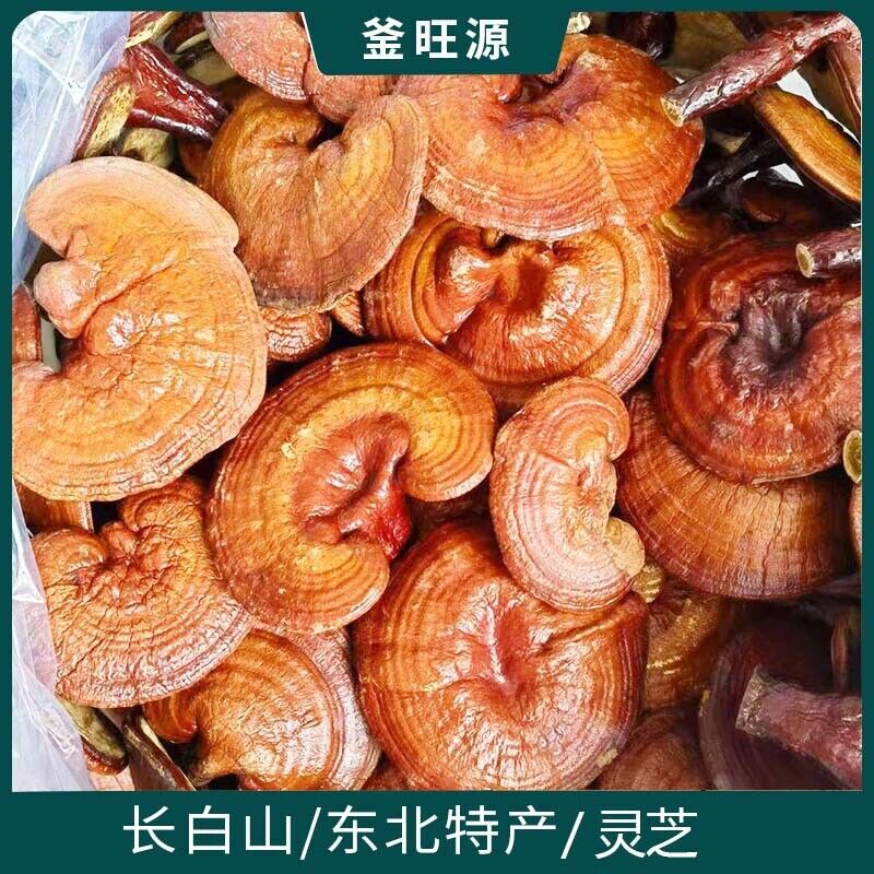 Changbai Mountain Ganoderma Lucidum Red Lingzhi Purple Lingzhi Edible Fungi 500g Main image