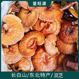 Changbai Mountain Ganoderma Lucidum Red Lingzhi Purple Lingzhi Edible Fungi 500g