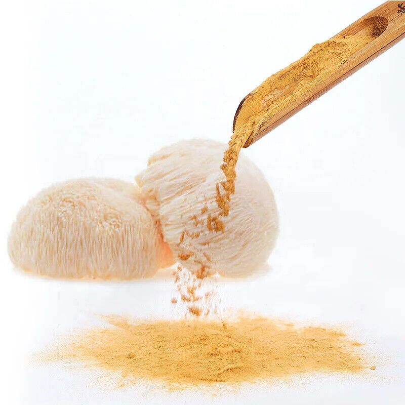 100% Organic Natural Lions Mane Mushroom 250g Hericium Erinaceus Hou Tou Gu 猴头菇