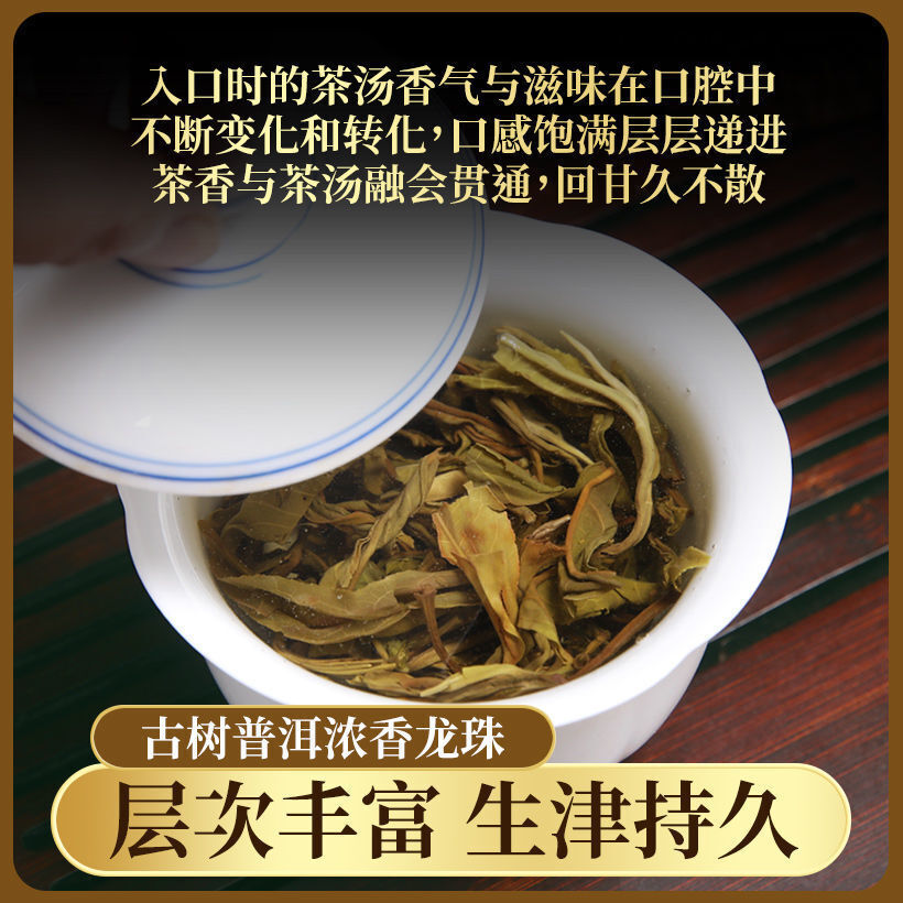First Spring Xigui Ancient Tree Longzhu Raw Puerh Tea