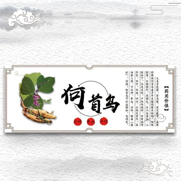 Yunnan He Shou Wu Powder 250g Wild Polygonum Multiflorum Premium Organic