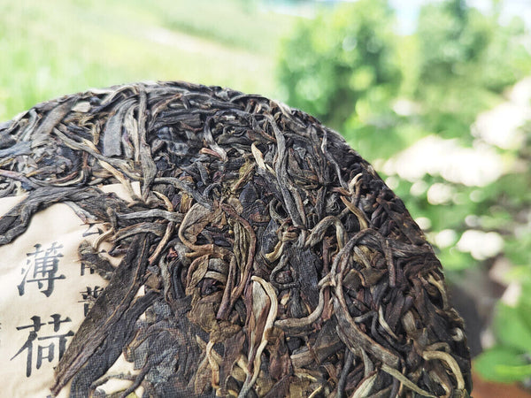 200g MintHotang Ancient Tree Tea Yiwu Old Tree Raw Pu'er First Spring Jiaoji Tea