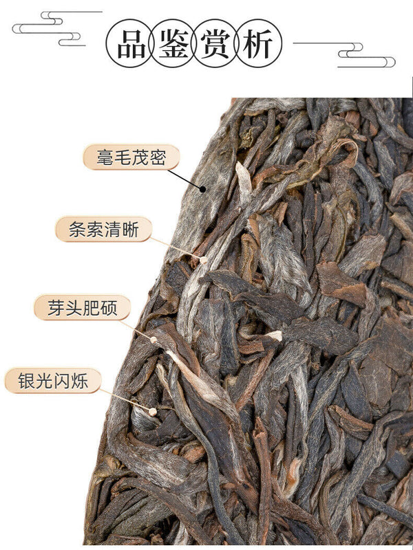 Puerh Tea Cake 357g Da Yuan Tou Spring Leaf Seed Pu-erh Old Raw Tea Cake Tea