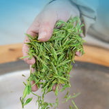100g Premuim Organic Anji White Tea Chinese Spring Aromatic Loose Leaf Green Tea