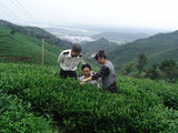 357g Yunnan Ripe Pu-Erh Organic Puerh Tea Cake Weight Loss Black Tea Chinese Tea
