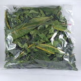 Dried Papaya Leaf Herbal Tea Made from Whole Leaves for Wellness and Digestion