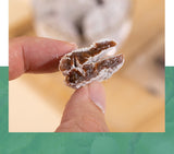 Traditional Tangerine Plum Cake Natural Flavor Sweet Snacks 250g