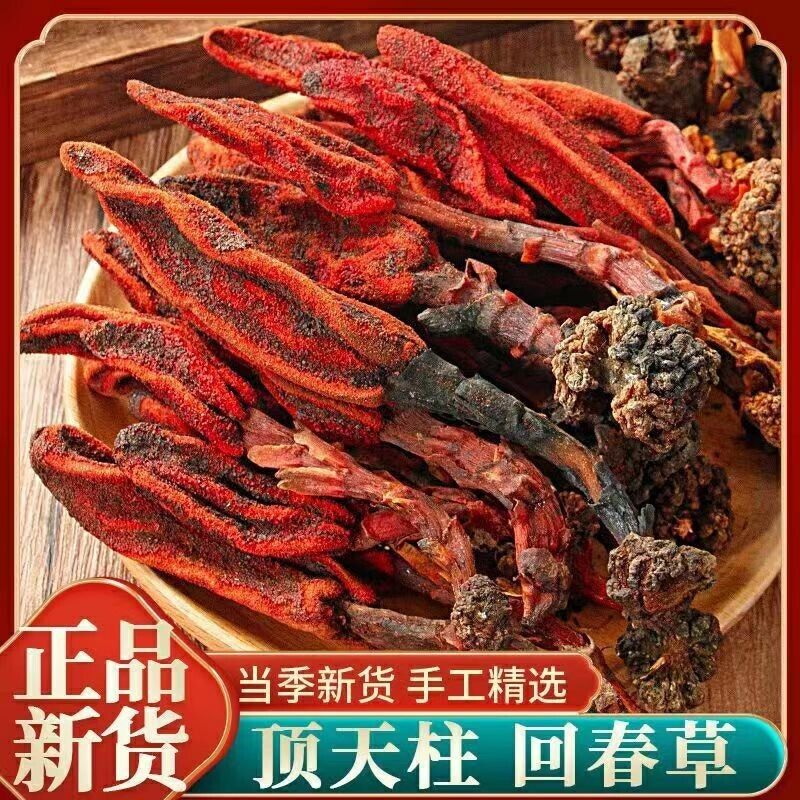 Yunnan Rejuvenation Grass Hui Chun Cao Ingredients for Soaking Wine Herb Tea Main image