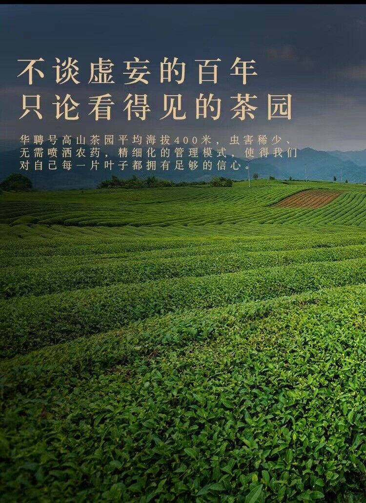350g Fuding high mountain white tea sun aged white tea gongmei date fragrance