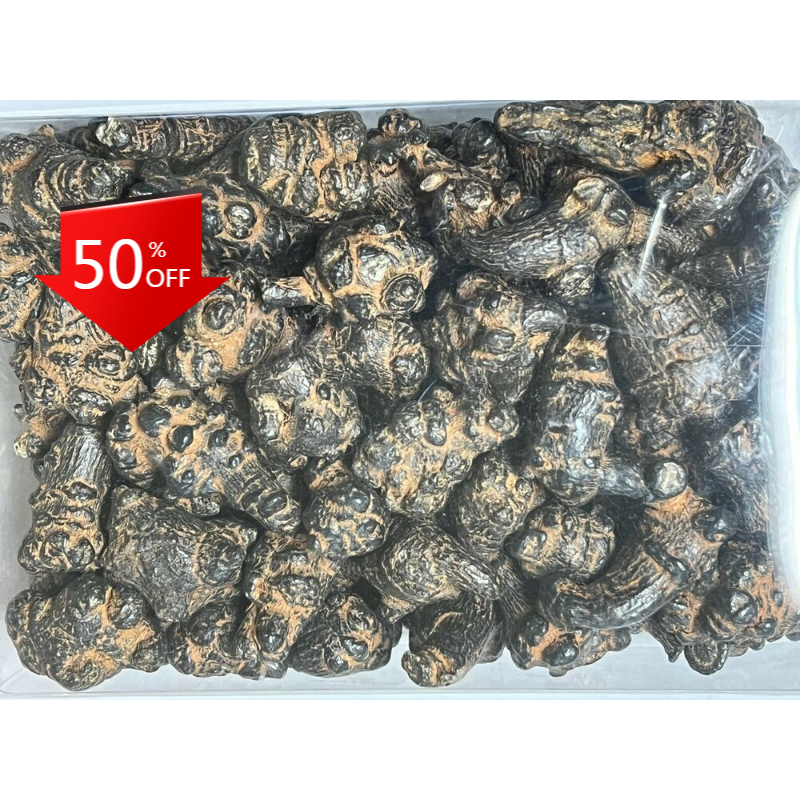 500g Black Radix Pseudoginseng 黑田七頭, good quality and price