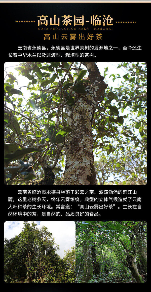 Golden Melon 400g Aged Ancient Tree Pu'er Tea Raw Tea Tuo Tea