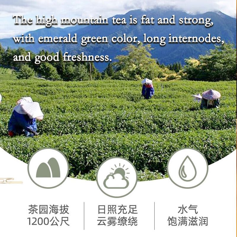 Milk Oolong Tea Milk Tea Natural Top Taiwan High Mountain Green Tea Jin Xuan Tea