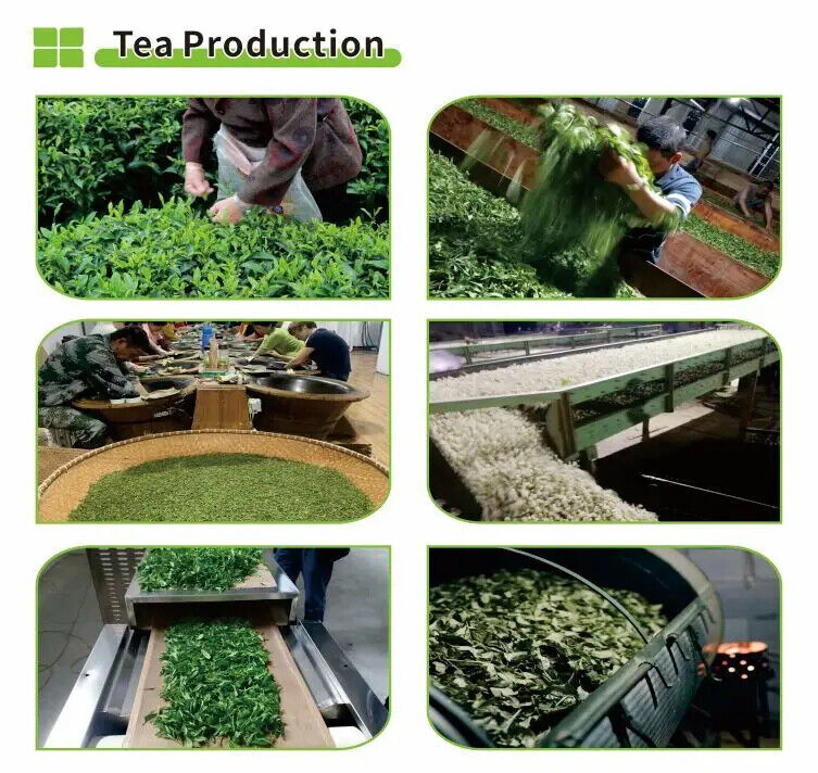 Chinese Famous Pu Erh Tea Cake Golden Bud Round Tea 80G Aged Ripe Puer Tea Cake