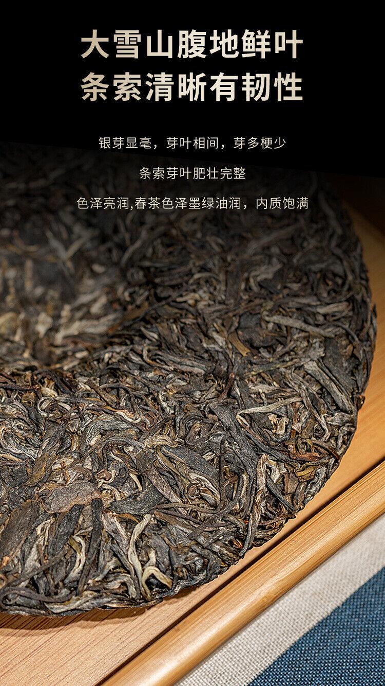 357g DaXueshan Pu'er Raw Tea Yunnan First Spring Ancient Seven Seed Cake Tea