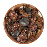 250g Natural Organic Healthy Herbal Tea 蟅虫 High Quality Zhechong Health Care