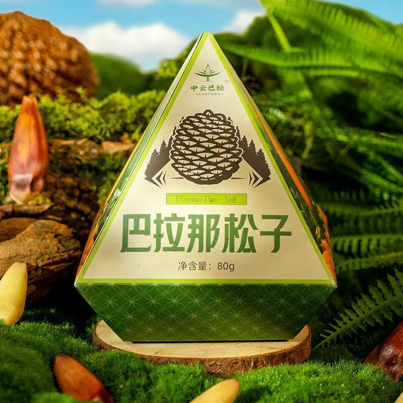 Yunnan Parana Pine Nuts – Hand-Picked Jumbo Shelled