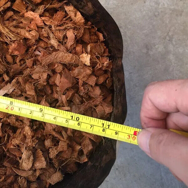 Organic Coconut Husk Chips 1-2cm Husk fiber Orchids Anthodium Growing Medium