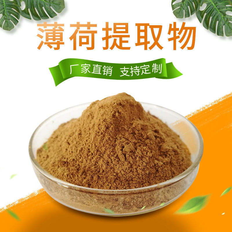 Wild Mint Powder - High Menthol Content (Lab Tested) - Pure Herbal Supplement Main image