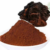 100g Pure Chaga Extract Powder Mushroom Supplement Chaga Mushroom Powder