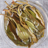 500g Yunnan White Tea Organic Bulk Bud Pu'er Raw Tea Slimming Health