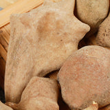 250g Organic Healthy Herbal Tea Original Health  Tea Wubeizi  五倍子 角倍 肚倍