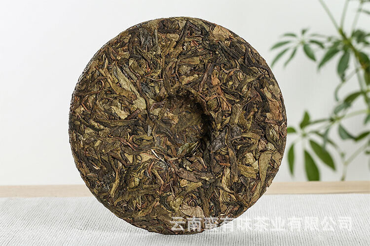 357g Yunnan Pu'er Tea Seven Seed Cake Bangdong Ancient Tree Golden Leaf Raw Tea