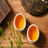 357g Nannuo Mountain Deep Mountain Big Tree Ming Pre-early Spring Tea Raw Cake