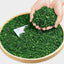500g  Green Tea Bulk Strong Flavour Premium Anxi Tieguanyin Tea New Oolong Tea
