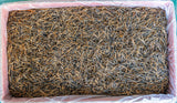 Yunnan Fengqing DianHong tea Pine Needle Un bourgeon une feuille Golden Needle