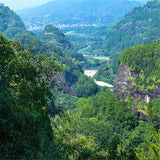 Da Hong Pao Oolong Tea 250g Big Red Robe