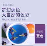 Butter Fly Pea Flower Dried Flower Blue Butter Fly Roselle Tea Colorful Tea