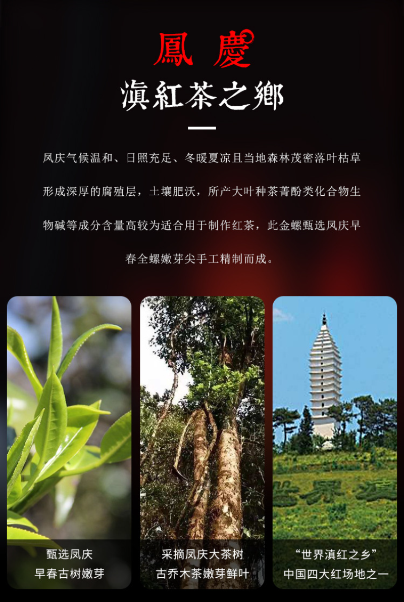 500g Yunnan Ancient Black Tea Golden Silk Golden Snail Fengqing Dian Hong Tea
